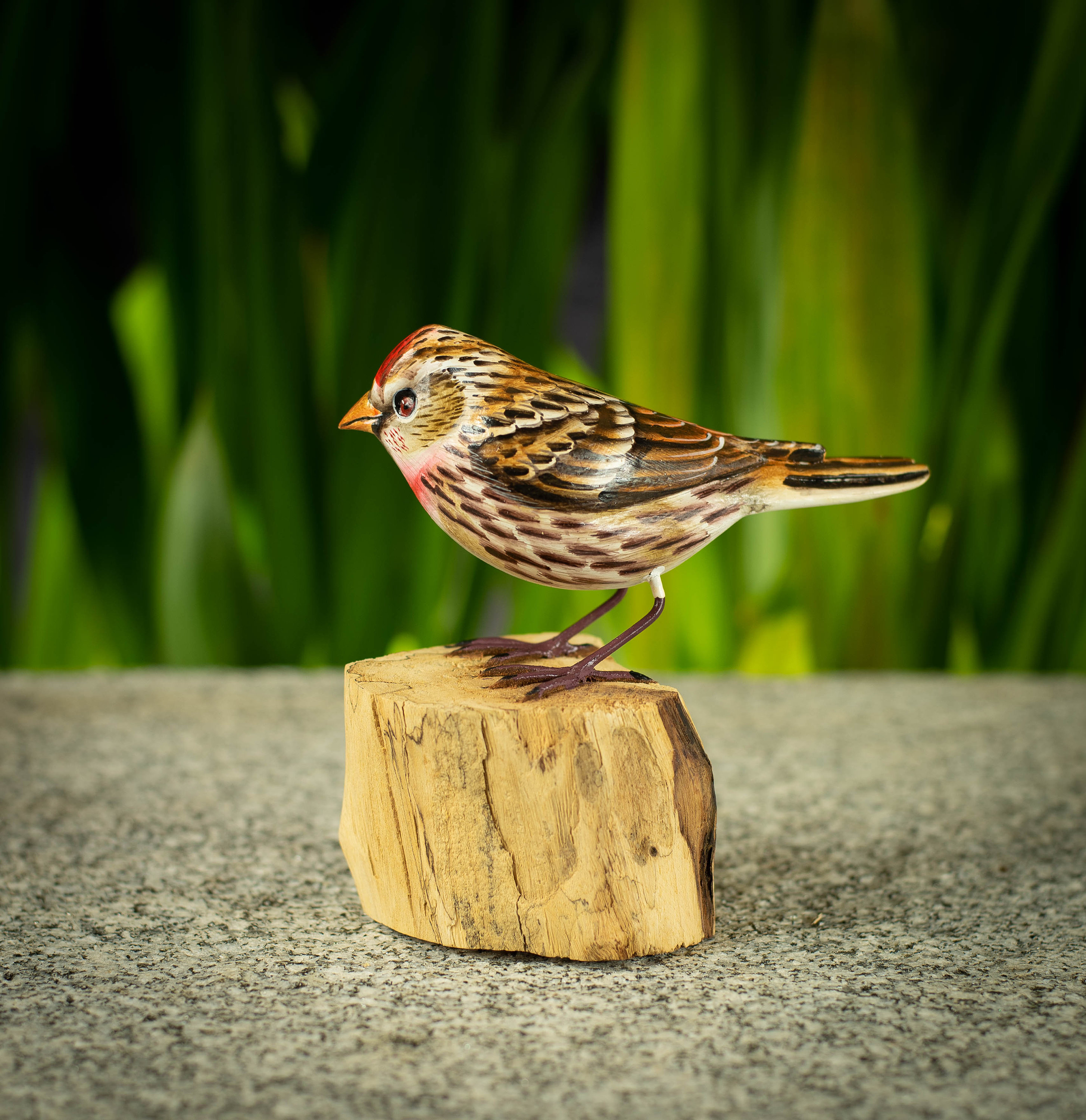 Hand Painted Wooden Bird Sculpture of a Common Redpoll