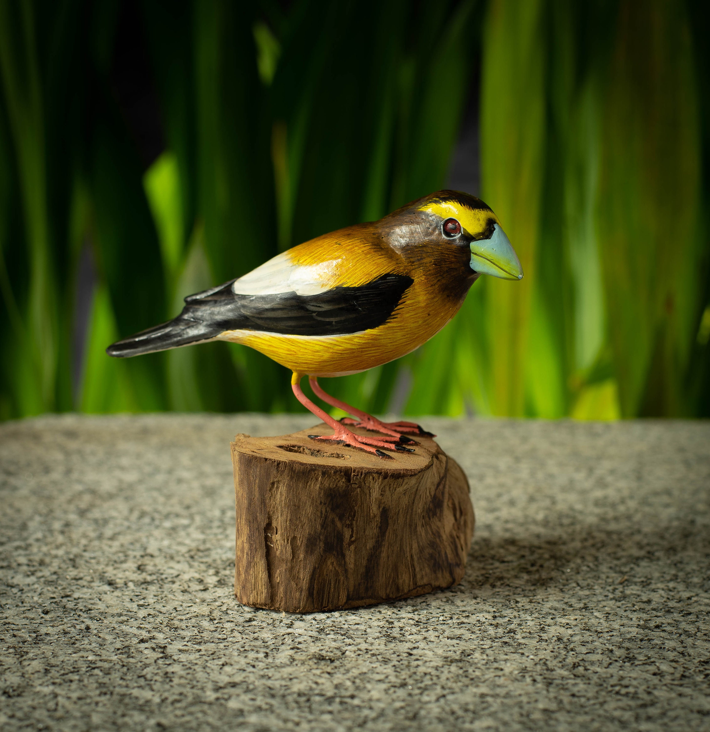 Hand Painted Wooden Bird Sculpture of a Evening Grosbeak